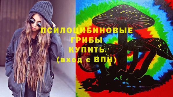 хмурый Алзамай
