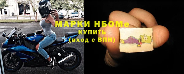 хмурый Алзамай