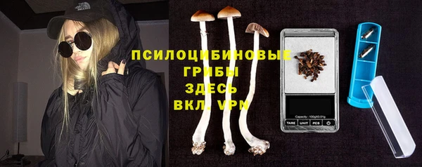 спайс Арсеньев