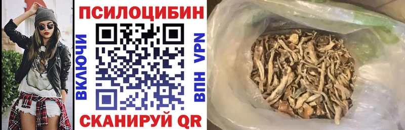 mega зеркало  Салехард  Псилоцибиновые грибы Cubensis 